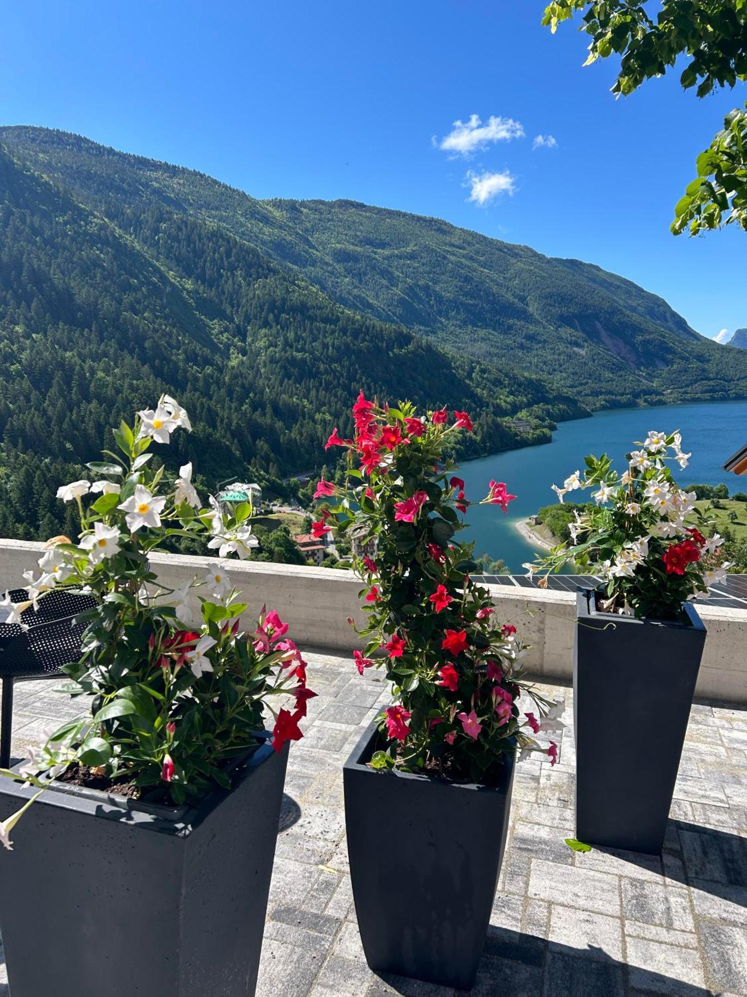Hotel Aurora Molveno Eksteriør billede