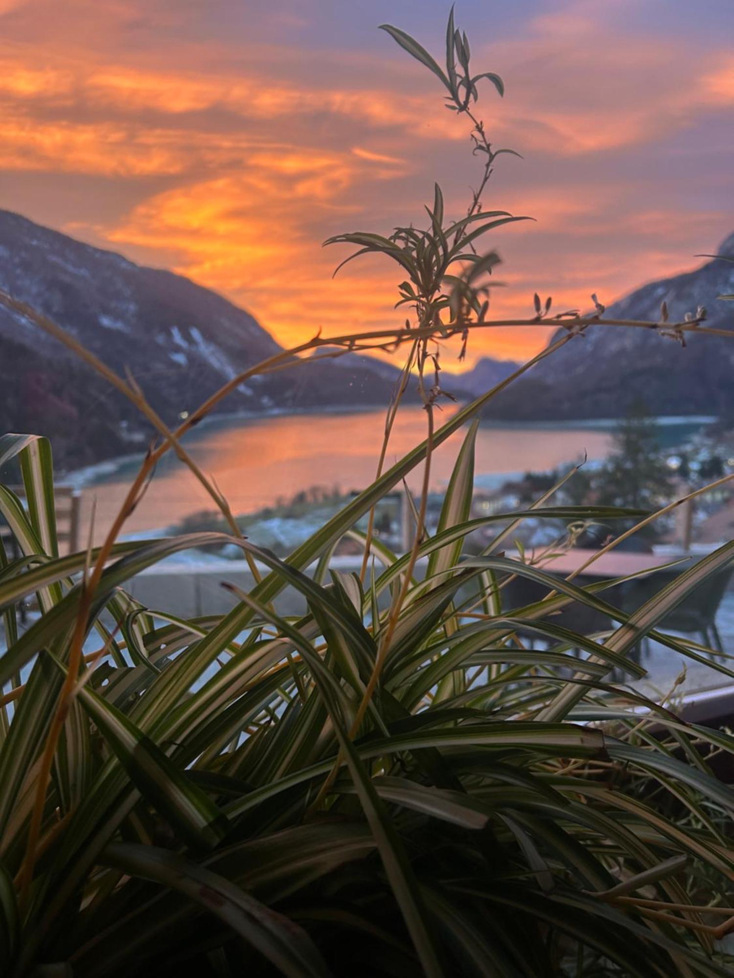 Hotel Aurora Molveno Eksteriør billede